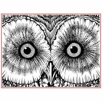 Owl eyes logo for Connecticut State Museum of Natural History